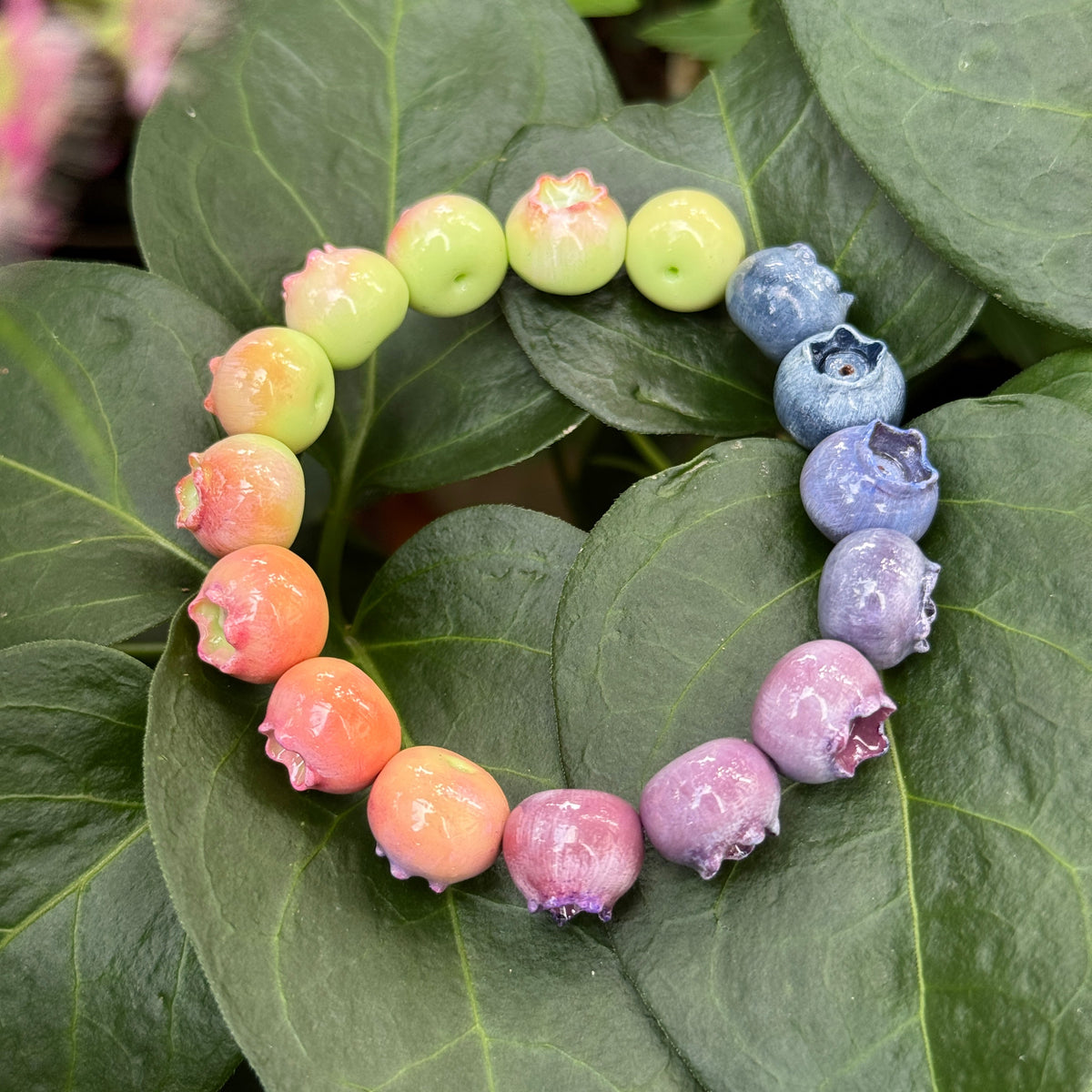 Blueberry Ripening Bracelet