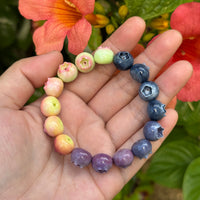 Blueberry Ripening Bracelet – Handmade Fruit Jewelry